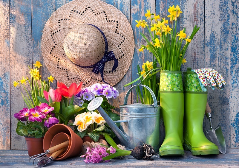 flower shops flower delivery